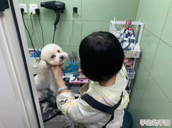 喵星大作战游戏预约地址全面详解及激活码获取方法指南 喵星大作战游戏预约地址全面详解及激活码获取方法指南