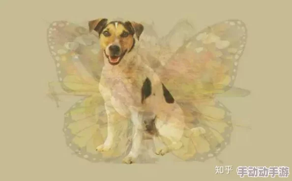 古代闺秀被强高h犬犬之心 古代闺秀被强高h犬犬之心