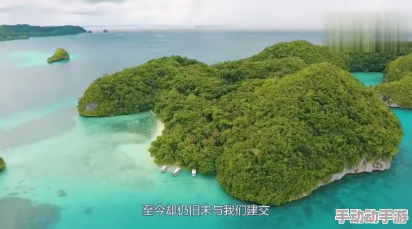 九九视频免费看群岛