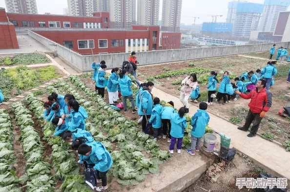 宝贝自己来小朋友们在幼儿园自主种植蔬菜，体验劳动乐趣