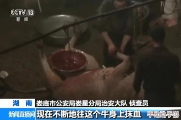 嗯啊浪货水好湿好浪啊惊心食人族：重生