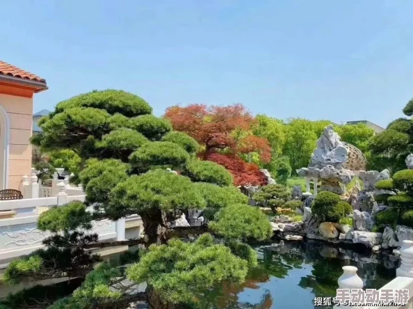红夜画面唯美，剧情紧凑，演员表现力强，是一部值得一看的佳作。