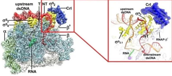 就要干就要操最近发现了一种神奇的植物，可以让皮肤变得更加光滑细腻