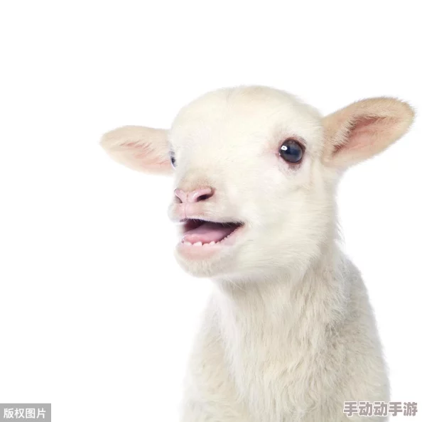 男人激烈吮乳吃奶视频十二秒,网友热议这是艺术还是情色? 男人激烈吮乳吃奶视频十二秒,网友热议这是艺术还是情色?