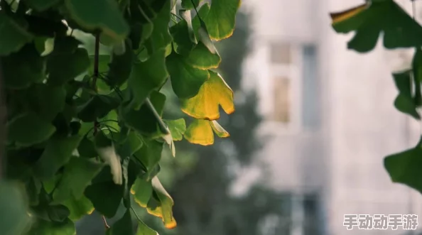 灰色酒店的邀请愿你在此找到心灵的宁静与温馨