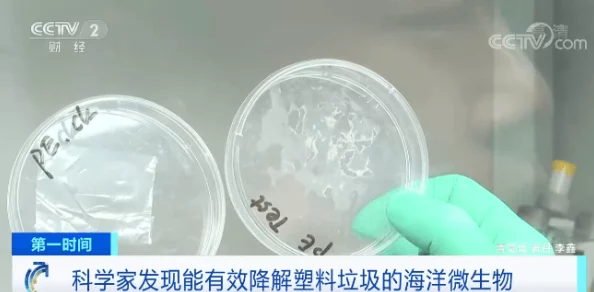 嘿咻色科学家发现新型细菌可降解塑料垃圾