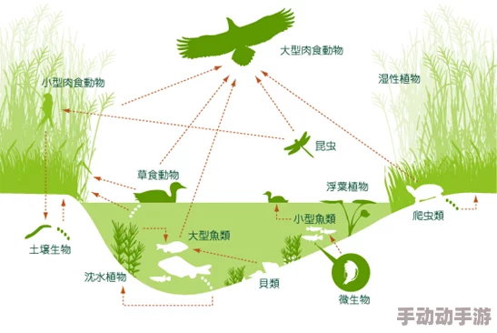 边界线科学家发现新物种，挑战生态平衡理论