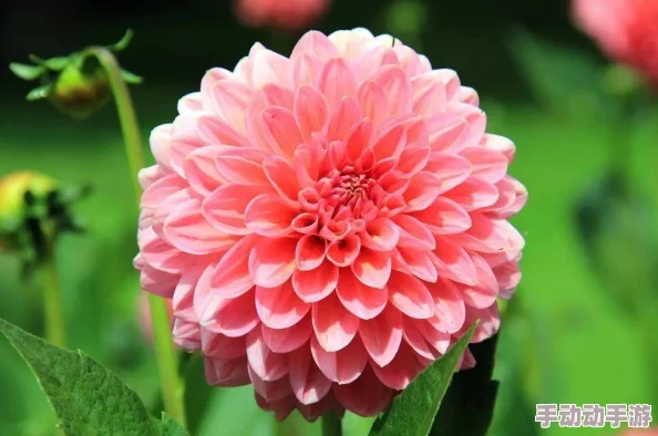 惊喜发现！地铁逃生秘籍：揭秘黄卡隐藏位置，原来它就藏在这里！