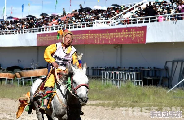 激情网网站用户体验全面升级，界面更美观功能更强大