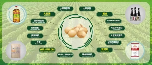 国产农村一一级特黄毛片指的是中国乡村地区的特色农业产品及相关影视作品