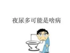 夜夜超b天天指的是一种夸张的表达方式，形容某人或某事非常频繁地发生或出现