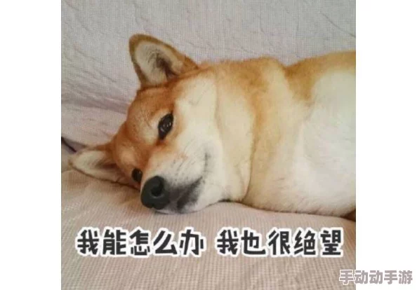 暴行本番新鲜事信息某地发生一起离奇案件，一名男子因宠物狗走失，竟然大闹街坊，导致多人受伤