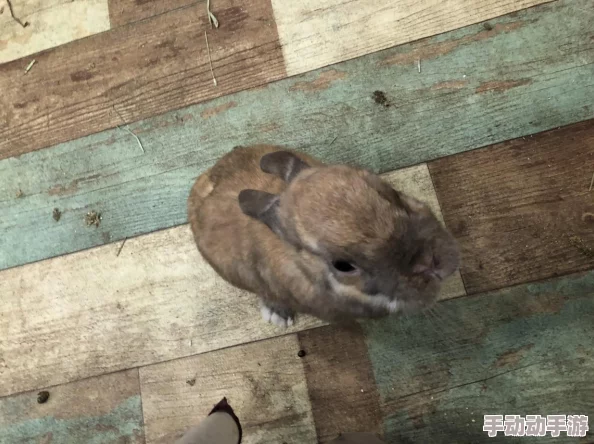 日韩精品第二页东京新开一家融合传统与现代的咖啡馆