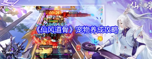 仙风道骨宠物选择攻略大揭秘：惊喜推荐，助你找到最佳灵兽伙伴！