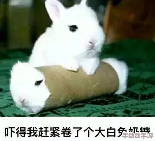 大白兔奶糖1v2的主角是谁指的是在游戏或动画中，大白兔奶糖品牌形象进行了一对二的挑战