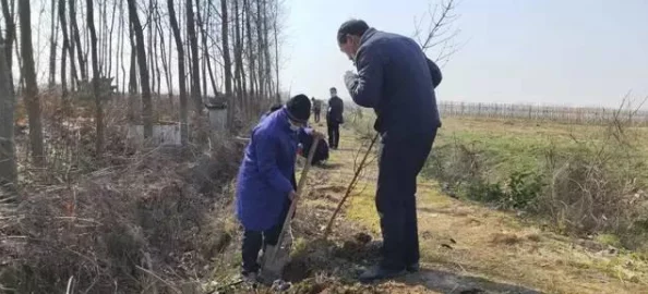 银杏视频直播在线观看免费悸动心灵的瞬间让我们勇敢追梦绽放自我光彩