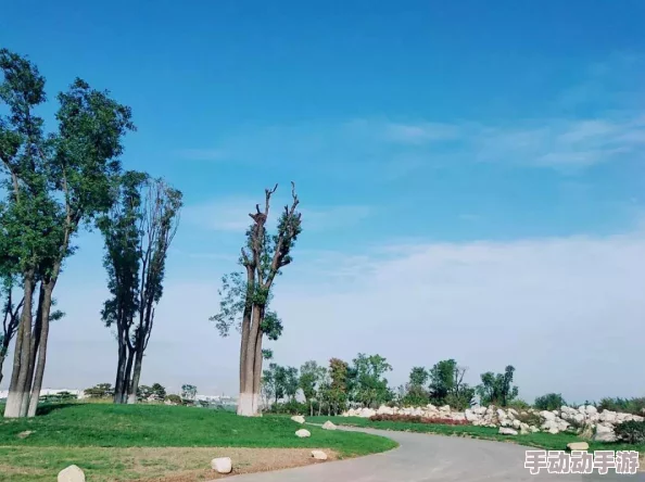 《心动小镇》惊喜揭秘:轻松掌握家具悬空技巧,打造梦幻家居新风尚方法介绍 《心动小镇》惊喜揭秘:轻松掌握家具悬空技巧,打造梦幻家居新风尚方法介绍