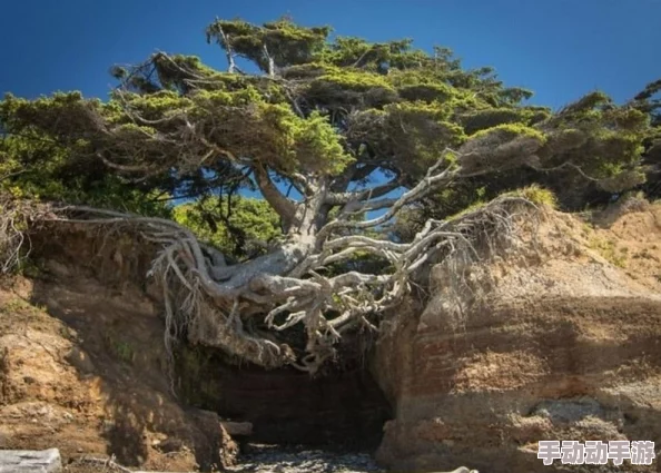 美女扒开屁股胸无遮挡复生生命的每一次重启都是新的希望与无限可能,勇敢追梦,创造美好未来 美女扒开屁股胸无遮挡复生生命的每一次重启都是新的希望与无限可能,勇敢追梦,创造美好未来