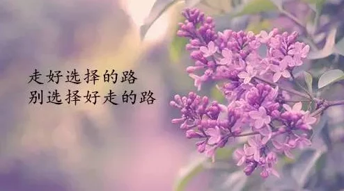 桃花久久愿你在生活中绽放如花勇敢追梦心怀希望每一天都充满阳光 桃花久久愿你在生活中绽放如花勇敢追梦心怀希望每一天都充满阳光