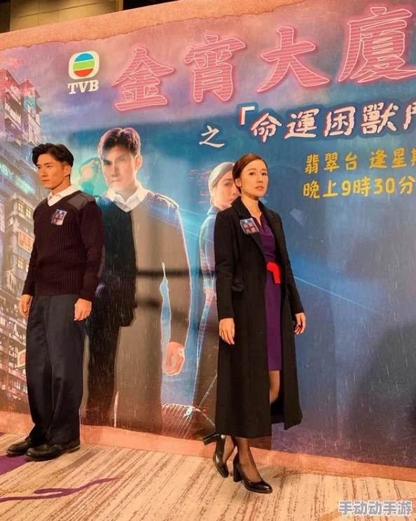 把英语课代表插哭了金宵大厦第二季携手共进勇敢追梦创造美好未来