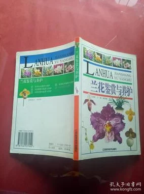 3d红五布衣图库44462手机牛人版奶爸房东用爱与责任创造温暖家园传递幸福与希望