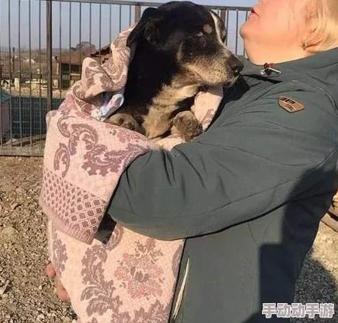 美女扒开大腿让男人桶尿口来自收容所的爱让我们用心去关爱每一个生命，共同创造温暖家园