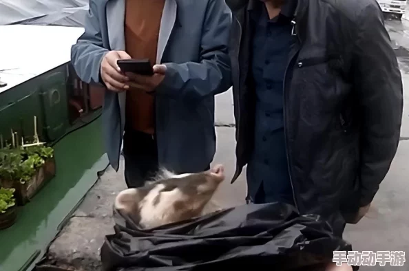 《第五人格》捉迷藏躲藏点位大揭秘!惊喜消息:新增隐藏点让你的胜率飙升,快来探索吧! 《第五人格》捉迷藏躲藏点位大揭秘!惊喜消息:新增隐藏点让你的胜率飙升,快来探索吧!