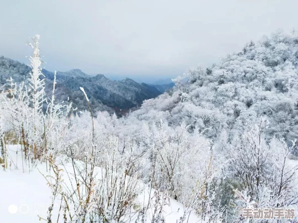 惊喜揭秘!王者荣耀草木风华周年庆系列皮肤归属英雄大公开! 惊喜揭秘!王者荣耀草木风华周年庆系列皮肤归属英雄大公开!