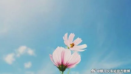 我的年轻岳坶100章txt下载积极向上,勇敢追梦,生活充满希望与美好 我的年轻岳坶100章txt下载积极向上,勇敢追梦,生活充满希望与美好