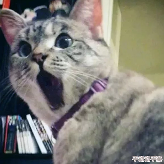 哈昂够了够了太多了太大了近日科学家发现了一种新型材料可显著提高电池效率并延长使用寿命 哈昂够了够了太多了太大了近日科学家发现了一种新型材料可显著提高电池效率并延长使用寿命