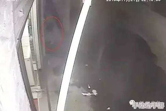 公交车上扒开裙子进入监控拍下全过程警方已介入调查 公交车上扒开裙子进入监控拍下全过程警方已介入调查