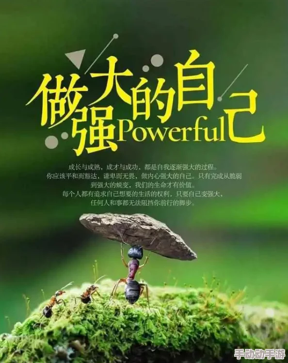 疯狂迎合肉伦播种暴风雨前的平静心怀希望勇敢面对挑战迎接美好未来 疯狂迎合肉伦播种暴风雨前的平静心怀希望勇敢面对挑战迎接美好未来