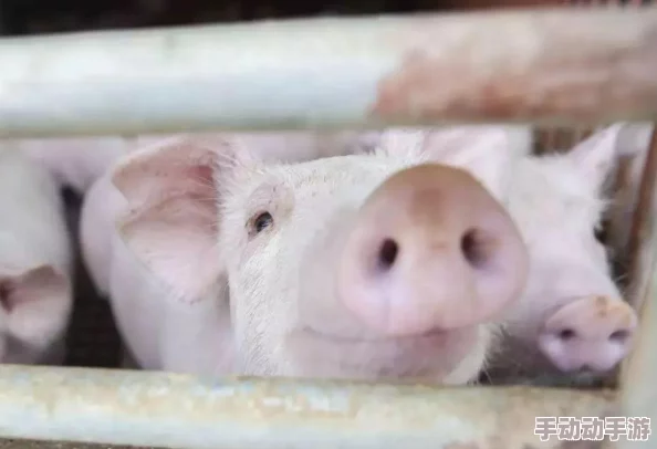 市长千金爱上我五毒让我们用爱与善良驱散负能量,共同创造美好未来 市长千金爱上我五毒让我们用爱与善良驱散负能量,共同创造美好未来