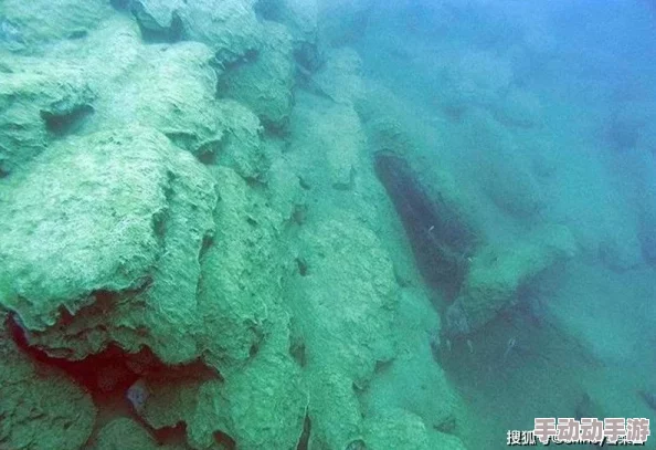 万兽之国h探索神秘的兽类栖息地与生态系统 万兽之国h探索神秘的兽类栖息地与生态系统