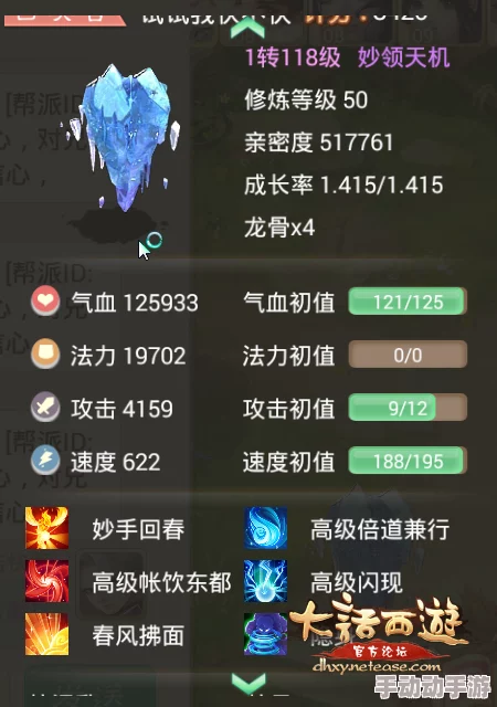 大话西游手游年度惊喜！年技能选择全攻略，揭秘顶尖玩家推荐技能搭配