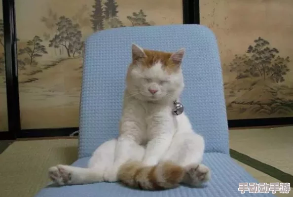 猫咪最新地域网名是什么懂的都懂资源更新速度变慢请耐心等待 猫咪最新地域网名是什么懂的都懂资源更新速度变慢请耐心等待