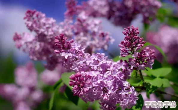 六月丁香深爱六月综合激情资源更新至第8集新增高清版本和花絮片段 六月丁香深爱六月综合激情资源更新至第8集新增高清版本和花絮片段