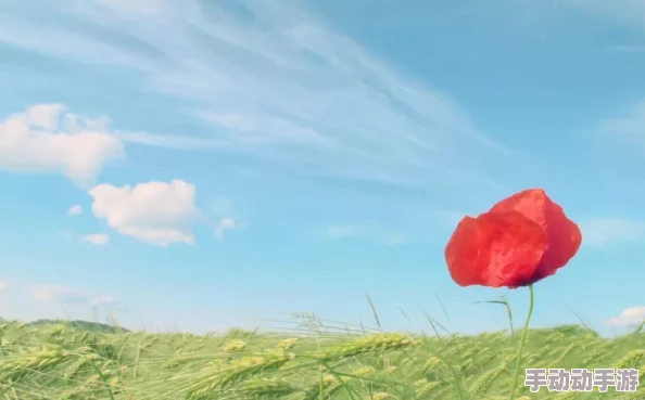 《悖论》几时花开几时落心怀希望勇敢追梦人生自会绽放光彩 《悖论》几时花开几时落心怀希望勇敢追梦人生自会绽放光彩