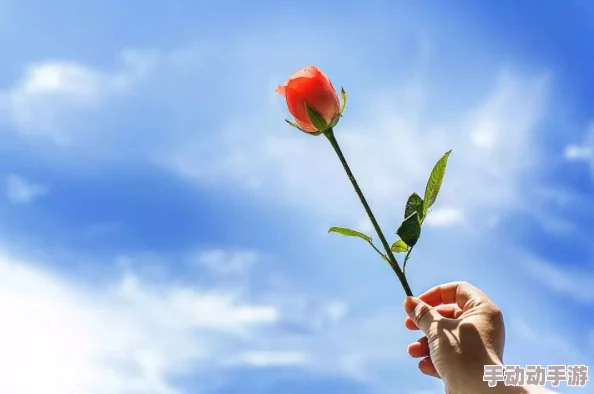 《悖论》几时花开几时落心怀希望勇敢追梦人生自会绽放光彩 《悖论》几时花开几时落心怀希望勇敢追梦人生自会绽放光彩