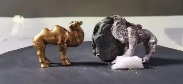 极宠幼崽期圆满结束正式开启成长期训练计划 极宠幼崽期圆满结束正式开启成长期训练计划