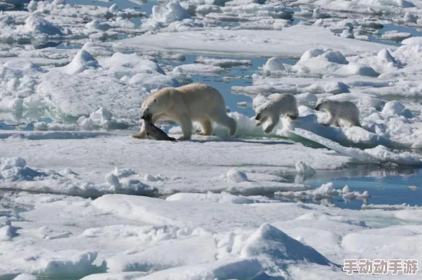 极宠幼崽期圆满结束正式开启成长期训练计划 极宠幼崽期圆满结束正式开启成长期训练计划