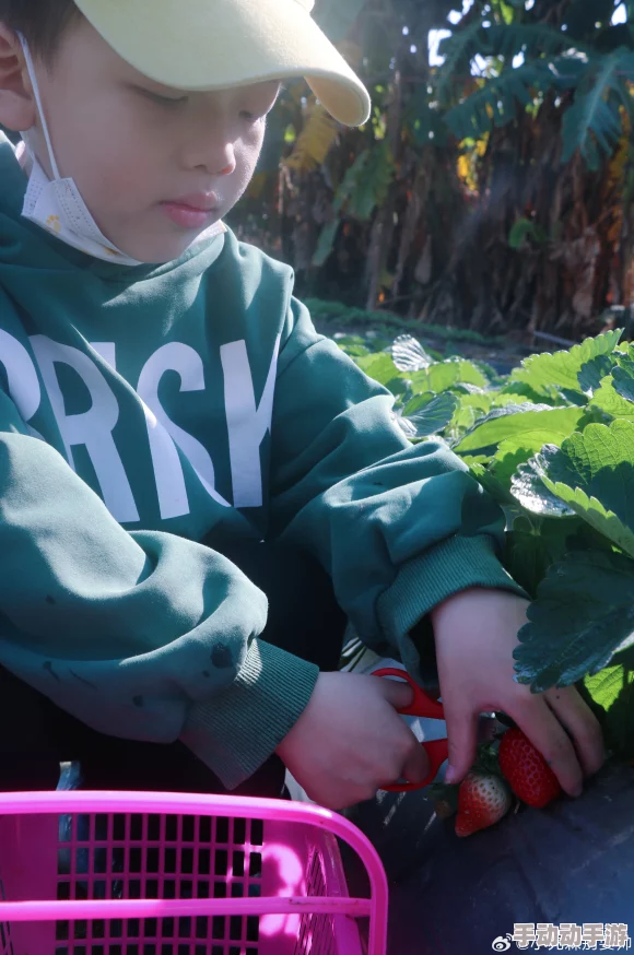 草莓视频导航资源更新至2023年10月更多精彩内容等你来看 草莓视频导航资源更新至2023年10月更多精彩内容等你来看