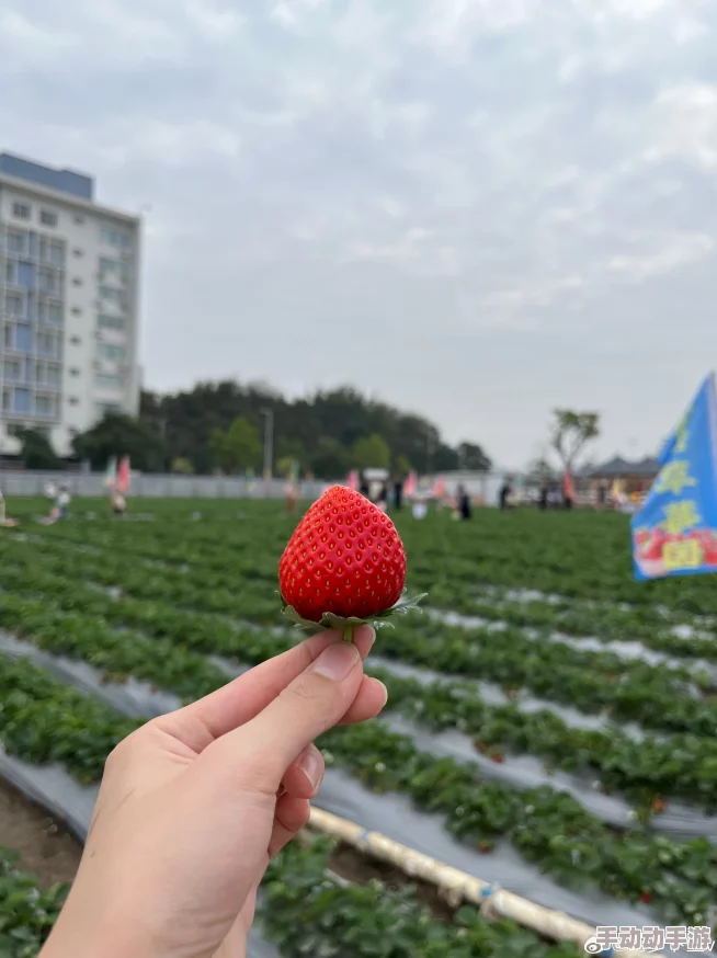 草莓视频导航资源更新至2023年10月更多精彩内容等你来看 草莓视频导航资源更新至2023年10月更多精彩内容等你来看