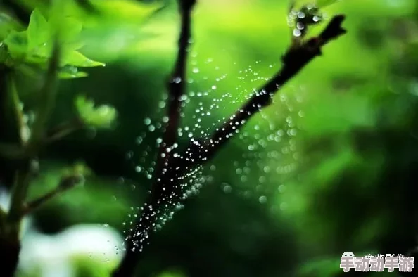 含羞草未满禁止观看更新至第10集本周精彩继续 含羞草未满禁止观看更新至第10集本周精彩继续