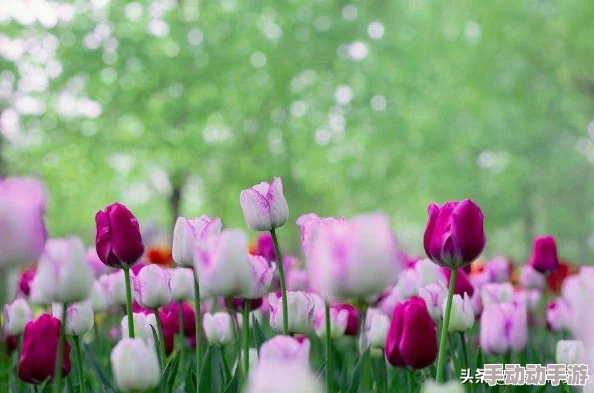 小诗成为学校教具9章小诗适应新角色并帮助学生们理解诗歌的魅力 小诗成为学校教具9章小诗适应新角色并帮助学生们理解诗歌的魅力