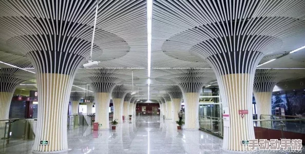 np高hbl夏日国度心怀梦想勇敢追逐阳光与希望照亮未来 np高hbl夏日国度心怀梦想勇敢追逐阳光与希望照亮未来