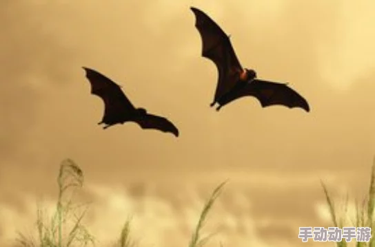 堕落玫瑰蝙蝠别墅让我们珍惜自然与生命,共同守护美好家园 堕落玫瑰蝙蝠别墅让我们珍惜自然与生命,共同守护美好家园