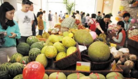 伊春园进口直达新鲜蔬果每日上新产地直采保障品质全程冷链护送 伊春园进口直达新鲜蔬果每日上新产地直采保障品质全程冷链护送