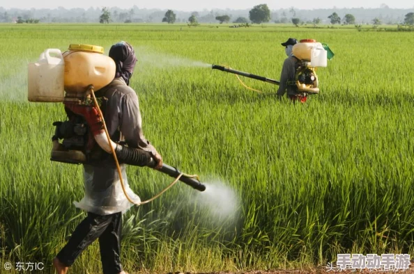 日本人XXXⅩ18HD19HD画面模糊内容粗制滥造演技尴尬浪费时间 日本人XXXⅩ18HD19HD画面模糊内容粗制滥造演技尴尬浪费时间