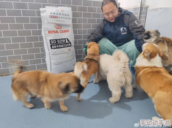 胆王钢蛋曾匿名向流浪动物救助站捐款百万